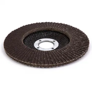 Disc lamelar frontal Basic pentru metal, 125mm