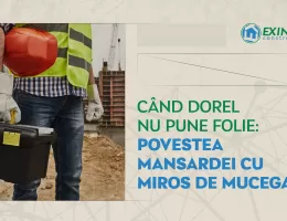 Când Dorel nu pune folie: Povestea mansardei cu miros de mucegai
