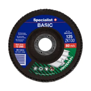 Disc lamelar frontal Basic pentru metal, 125mm