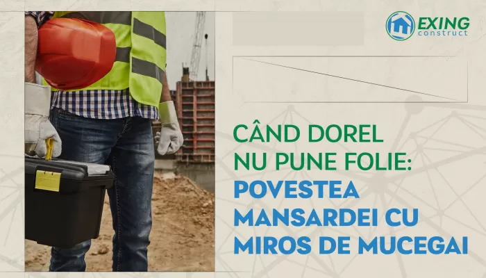 Când Dorel nu pune folie: Povestea mansardei cu miros de mucegai
