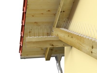 Antipasari Duo, 0.33m-ABD_N_2.jpg