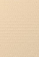 Tapet fibra sticla NOVELIO, 170gr/mp, 25mp-T1003.JPG