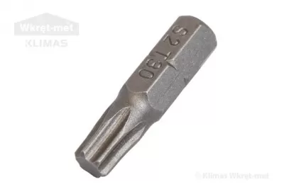 Bit pentru insurubare TORX