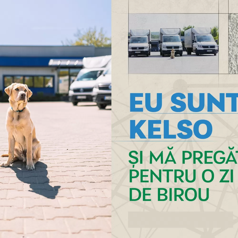 Eu sunt Kelso și mă pregătesc pentru o zi de birou