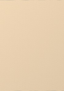 Tapet fibra sticla NOVELIO, 140gr/mp, 25mp-T1003.JPG